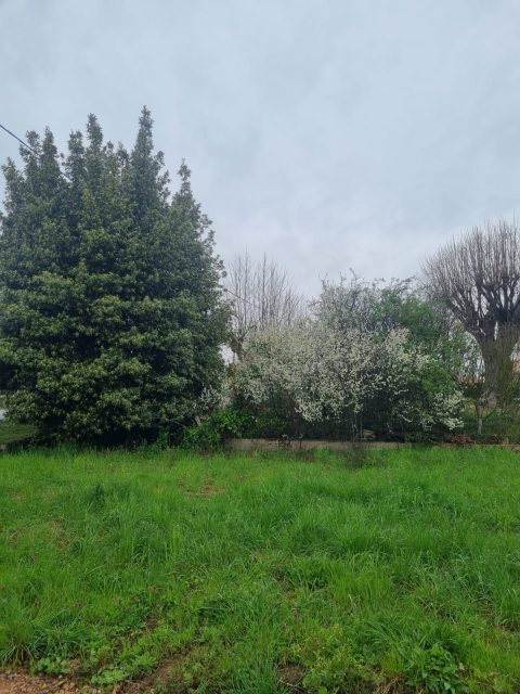 Terrain constructible à La Chapelle de Guinchay