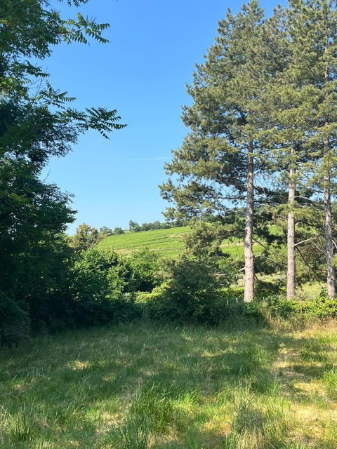 Terrain constructible Verzé