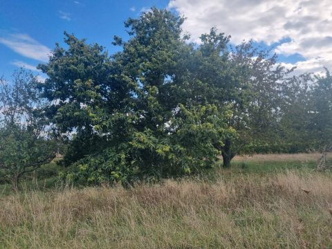 Terrain constructible à La Salle