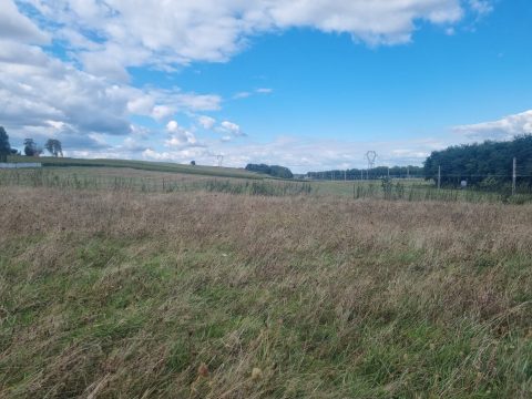 Terrain constructible à Viré