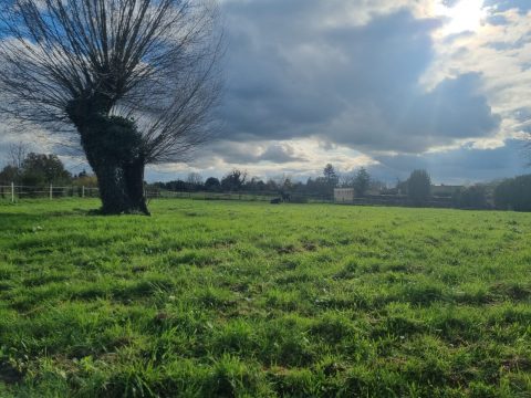 Terrain constructible à Préty