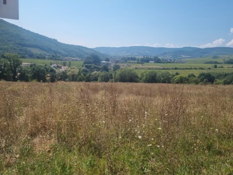 Terrain constructible à Julienas