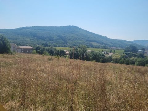 Terrain constructible à Julienas