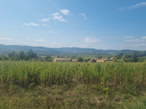 Terrains Constructible à Chevagny les Chevrières