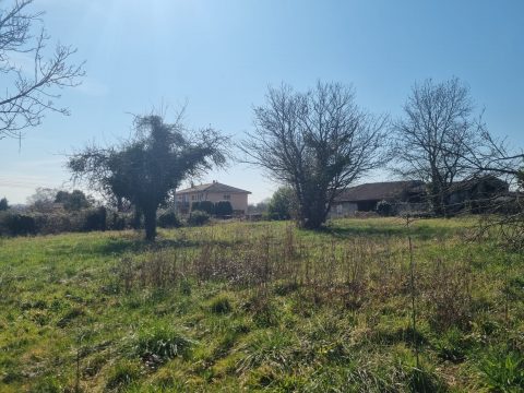 Terrains constructible Crèches sur Saône