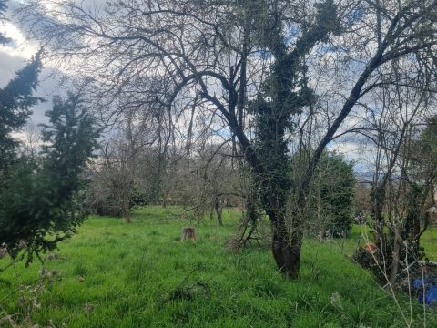 Terrain constructible à Fareins