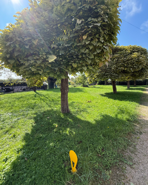 Terrain constructible à Crottet