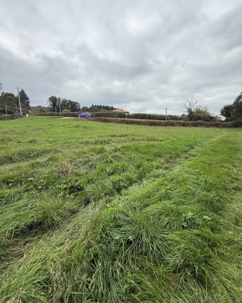 Terrain constructible Navour-sur-Grosne