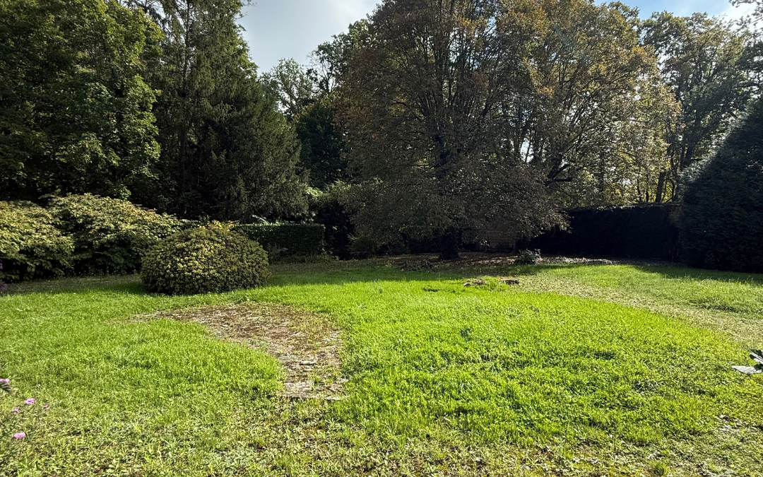 Terrain constructible à Pont-de-Veyle