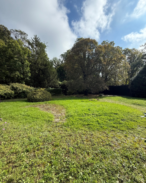 Photo Terrain Pont-de-Vayle 981 m²