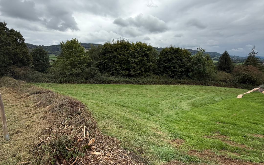 Terrain constructible à Navour sur Grosne (Clermain)