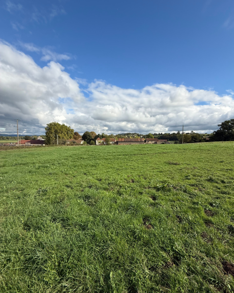 Photo Terrain Ameugny