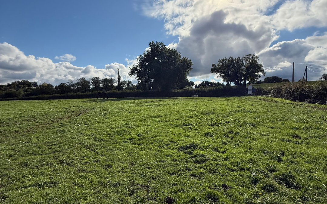 Terrain constructible à Ameugny