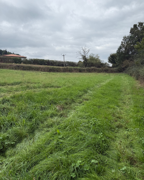 Terrain constructible Navour-sur-Grosne