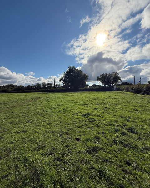 Photo Terrain Ameugny