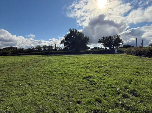 Terrain constructible à Ameugny