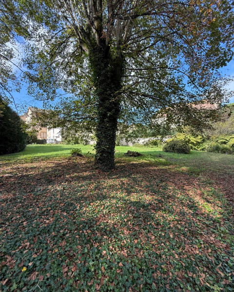 Photo Terrain Pont-de-Vayle 981 m²