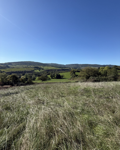Terrain constructible Berzé-la-Ville