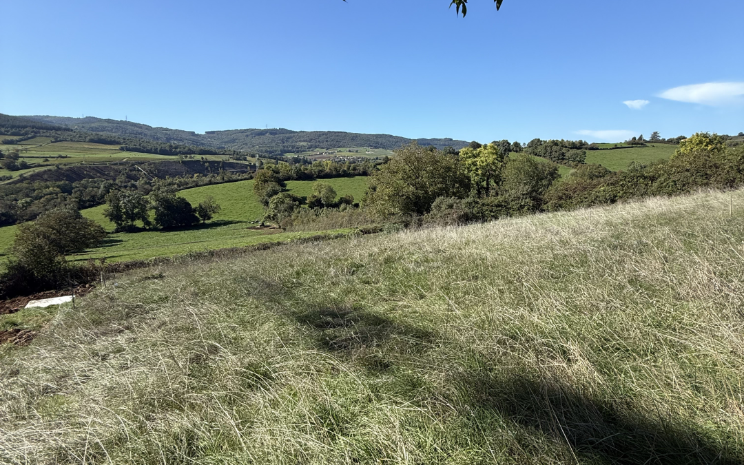 Terrain constructible Berzé-la-Ville