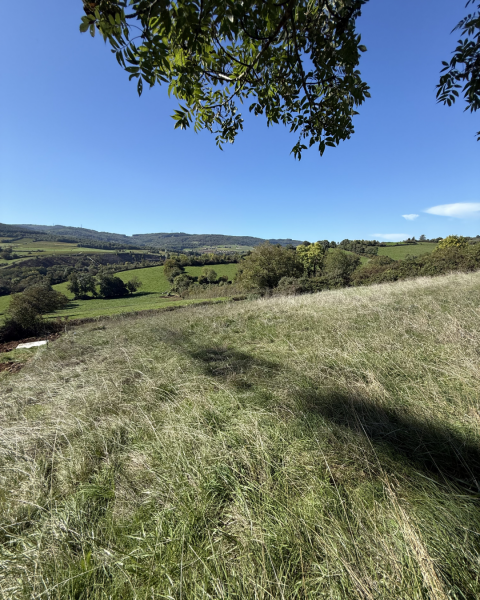 Terrain constructible Berzé-la-Ville