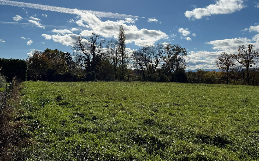 Terrain constructible à Crottet