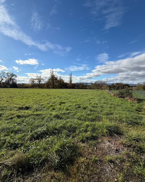 Terrain constructible à Crottet