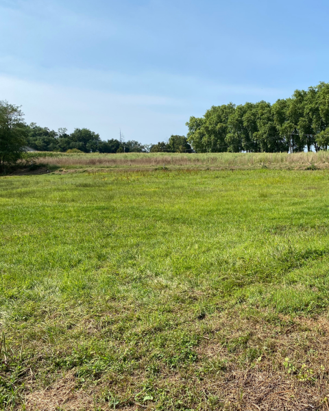 Terrain constructible à Bâgé-le-Châtel