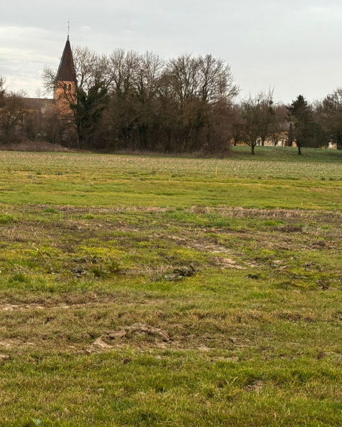 Terrain constructible à Bâgé-Dommartin
