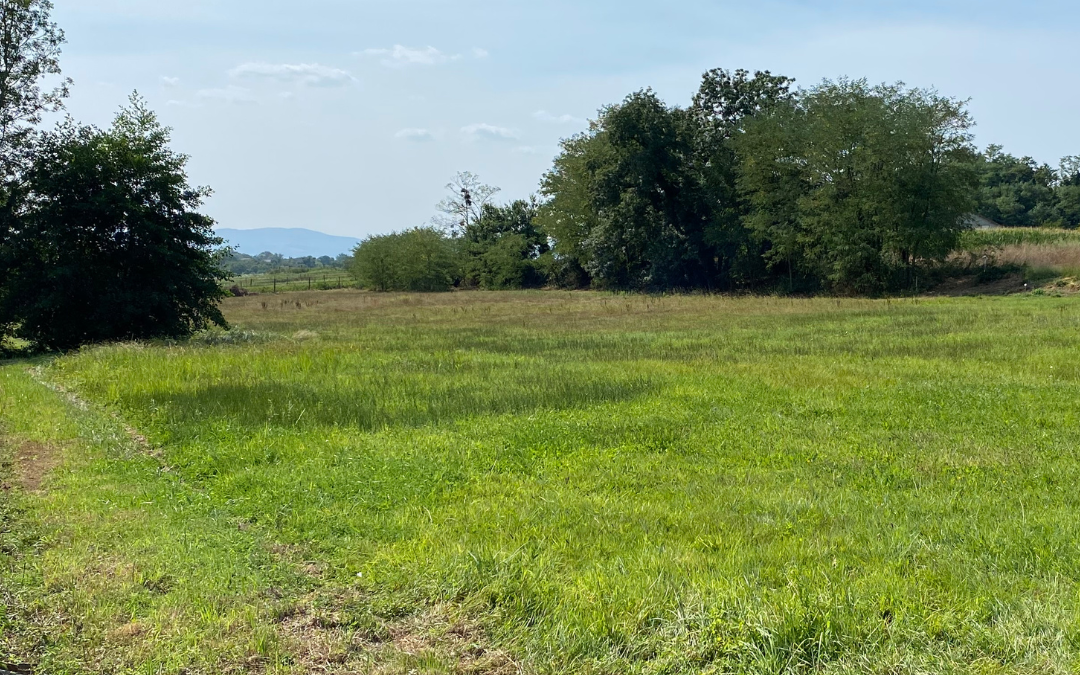 Terrain constructible à Bâgé-le-Châtel