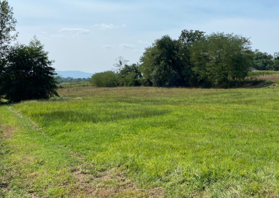 Terrain constructible à Bâgé-le-Châtel