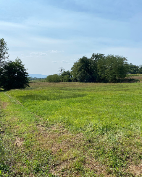 Terrain constructible à Bâgé-le-Châtel