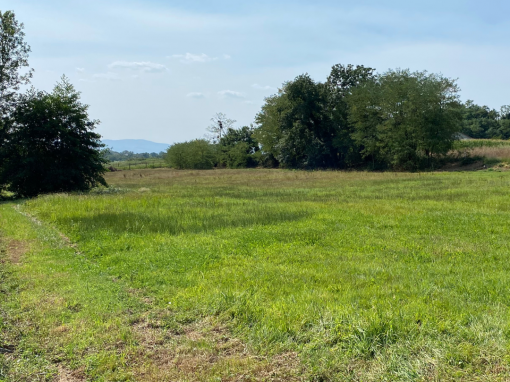 Terrain constructible à Bâgé-le-Châtel