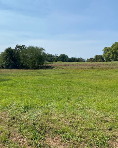 Terrain constructible à Bâgé-le-Châtel