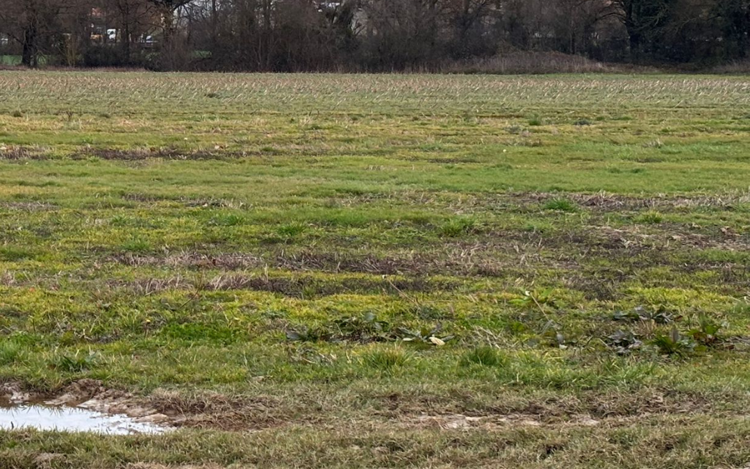 Terrain constructible à Bâgé-Dommartin