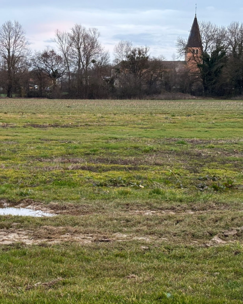 Terrain constructible à Bâgé-Dommartin