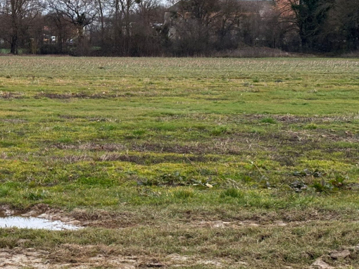 Terrain constructible à Bâgé-Dommartin