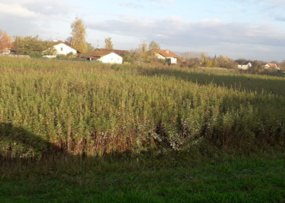 Terrains constructibles à Feillens