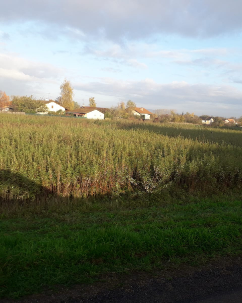 Terrain constructible Feillens