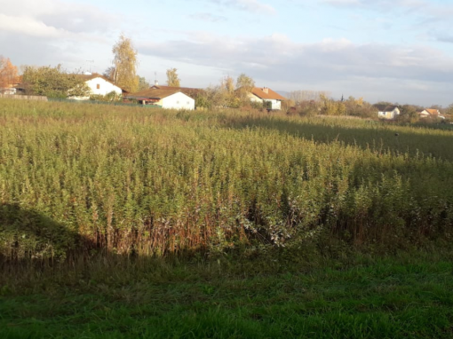 Terrains constructibles à Feillens